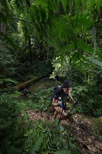 BIB: 
                            <button type="button" onclick="openModal(16033201)" class="btn btn-primary btn-sm float-right btn-popup" data-toggle="modal" data-target=".modal-high-quality">
                        <i class="fas fa-shopping-cart"></i> Add to Cart
                    </button>
                                            <button type="button" onclick="isThisMe(16033201, true)" class="btn btn-success btn-sm float-right btn-popup btn-isme hidden" data-toggle="tooltip" data-placement="bottom" title="นี่คือรูปของคุณใช่ไหม คลิกที่นี่เพื่อเอาเข้าอัลบั้ม">
                        <i class="fas fa-plus"></i> Add to album
                    </button>
                    <button type="button" onclick="isThisMe(16033201, false)" class="btn btn-warning btn-sm float-right btn-popup btn-isnotme hidden">
                        <i class="fas fa-ban"></i> Remove from album
                    </button>